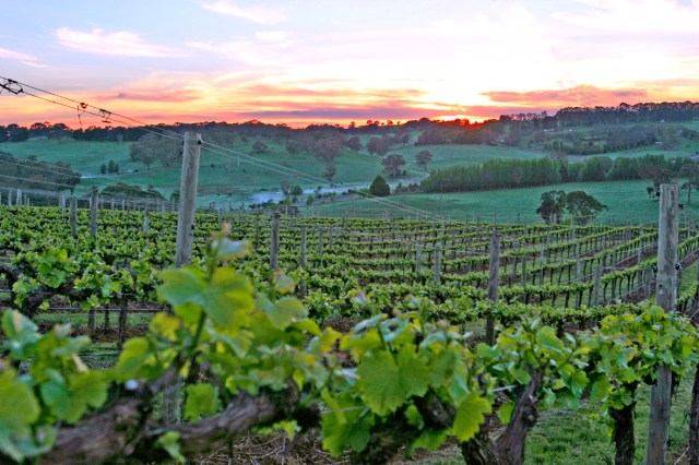 the-parable-of-the-workers-in-the-vineyard